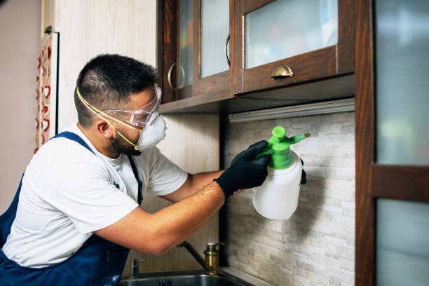 Best Affordable Pest Control Services  in Kincheloe, MI