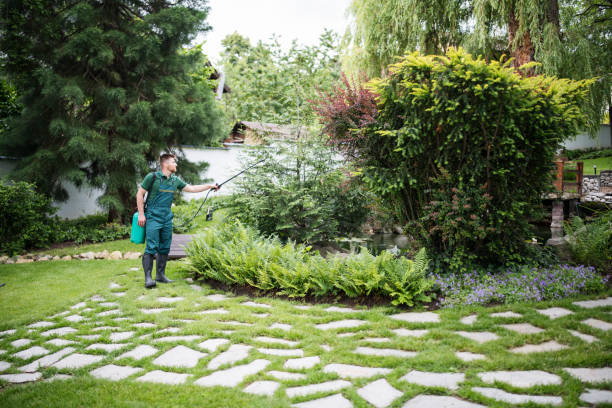 Best Pest Control for Businesses  in Kincheloe, MI