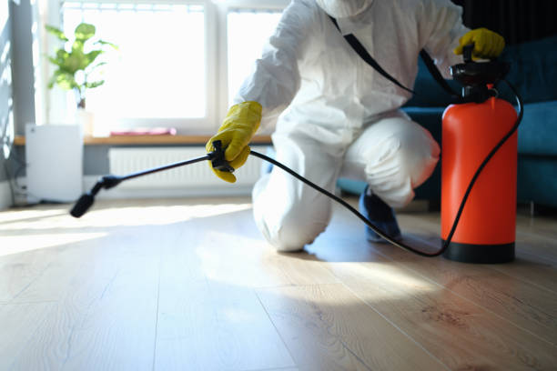 Flea Control Services in Kincheloe, MI