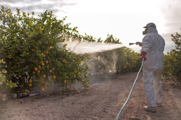 Best Pest Prevention Services  in Kincheloe, MI