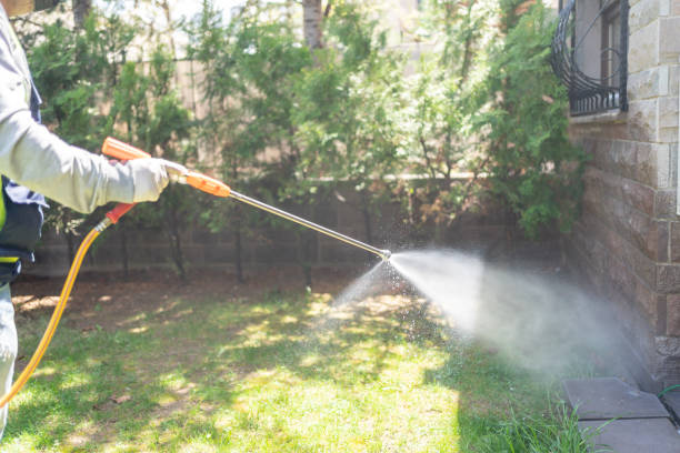 Best Termite Control Services  in Kincheloe, MI
