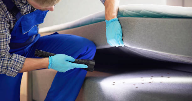 Best Bed Bug Extermination  in Kincheloe, MI