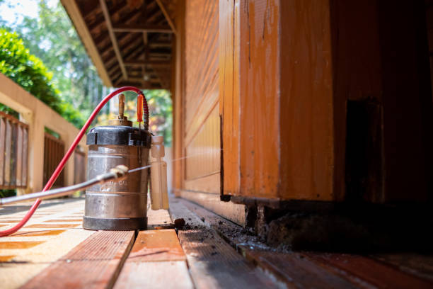 Best Rat Extermination Near Me  in Kincheloe, MI