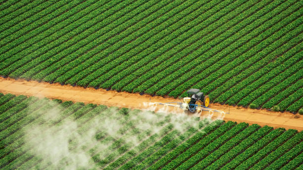Best Mosquito Control Services  in Kincheloe, MI