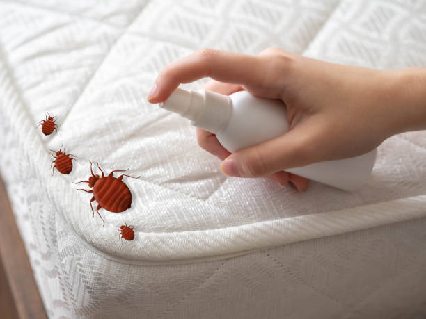 Best Best Pest Control Companies  in Kincheloe, MI