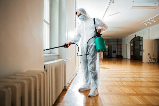 Best Ant Control Services  in Kincheloe, MI