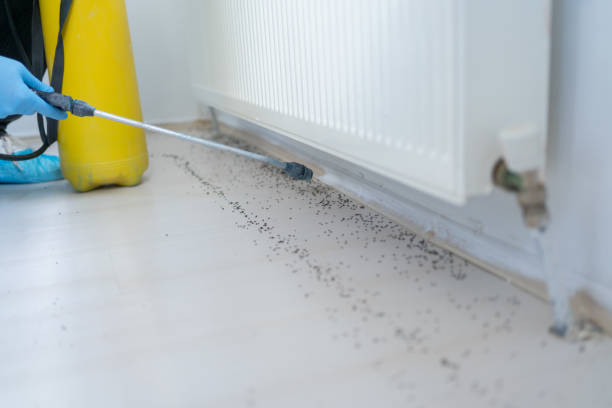 Best Pest Inspection Near Me  in Kincheloe, MI