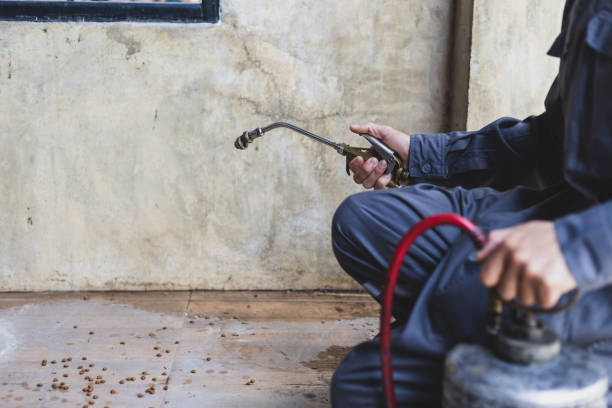 Best Residential Pest Control  in Kincheloe, MI